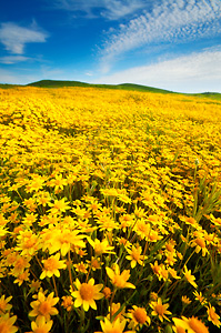 Composition for Dramatic Landscapes Online Photography Course
