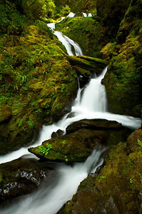 Filters for Nature Photography Online Course