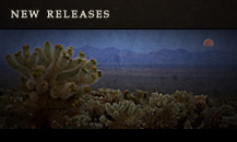 New Releases