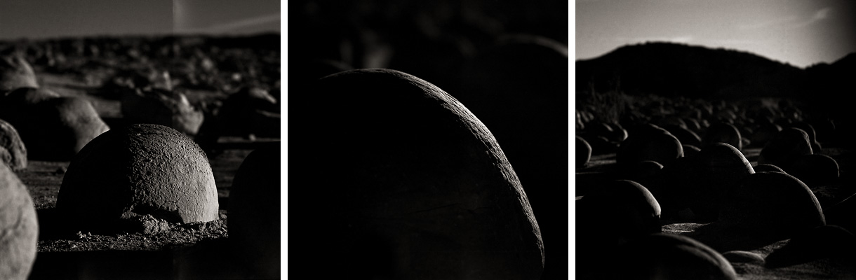 The Pumpkin Patch